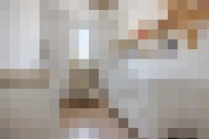 Lisdreef 2 Papendrecht thumbnail 19