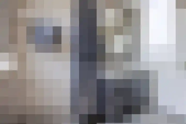 Lisdreef 2 Papendrecht thumbnail 22