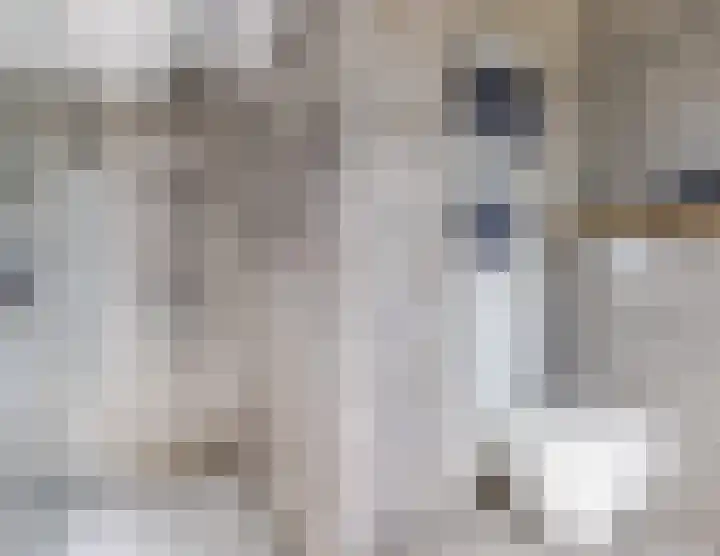 Lisdreef 2 Papendrecht thumbnail 23