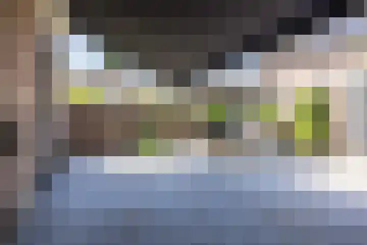 Lisdreef 2 Papendrecht thumbnail 27