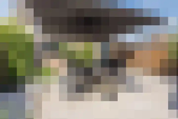 Lisdreef 2 Papendrecht thumbnail 28