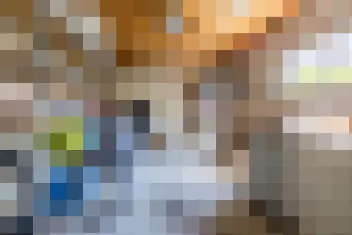 Lisdreef 2 Papendrecht thumbnail 31