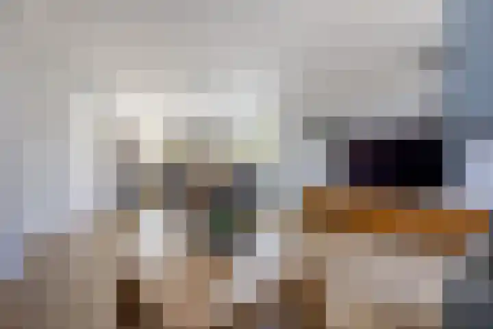 Lisdreef 2 Papendrecht thumbnail 5