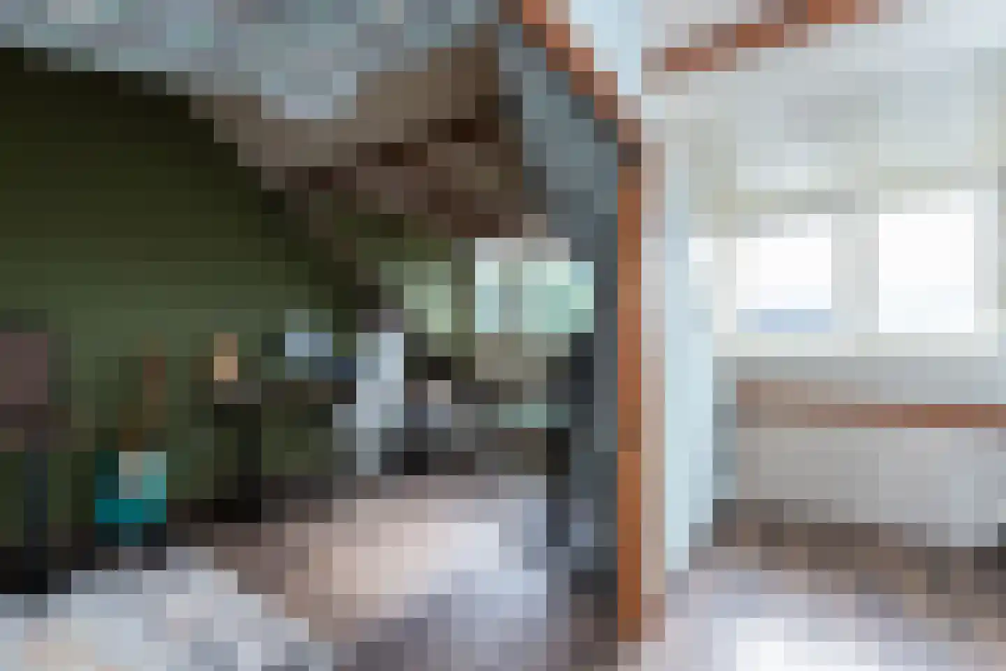 Lisdreef 23 Papendrecht thumbnail 19