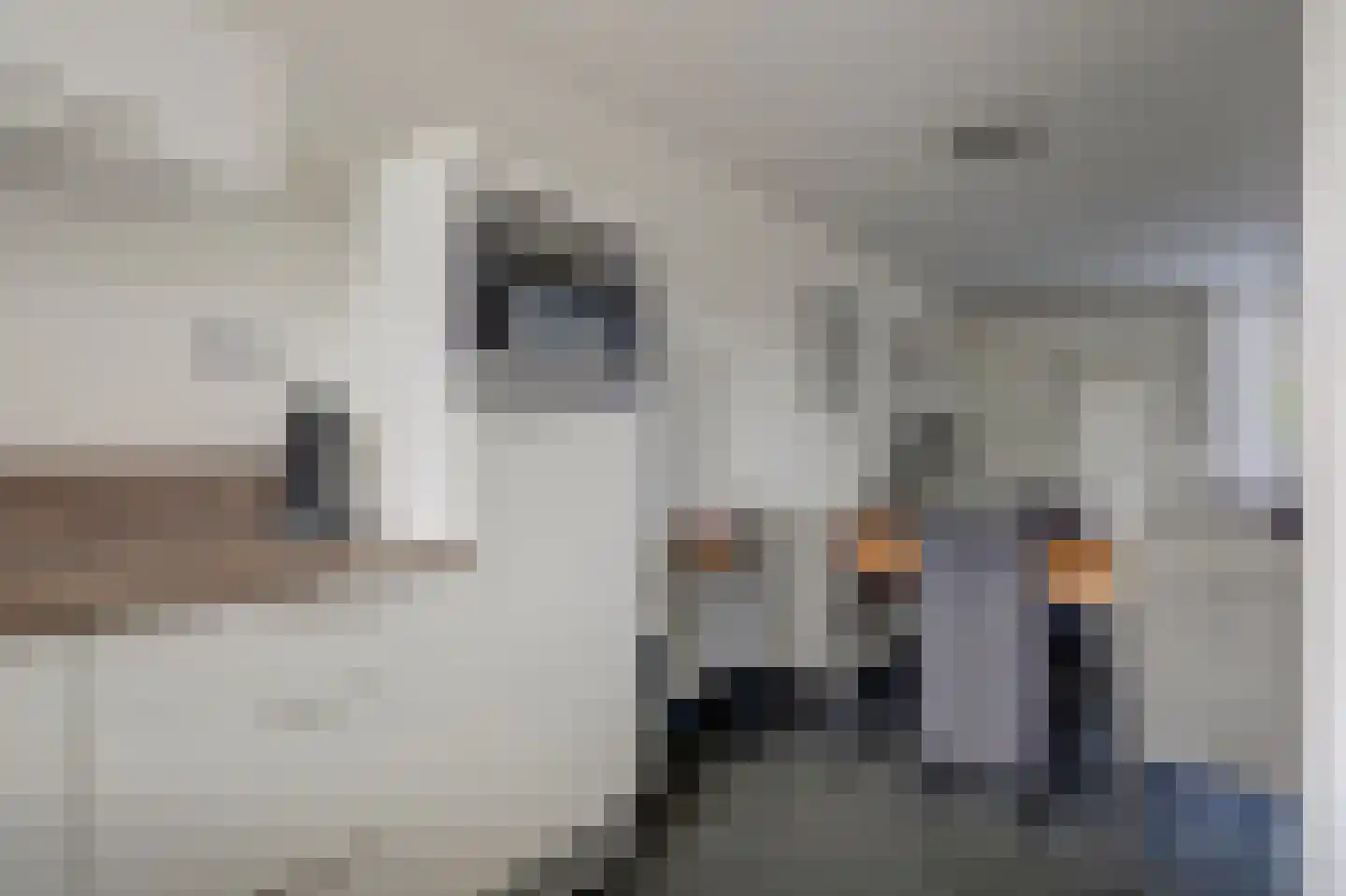 Lisdreef 31 Papendrecht thumbnail 16