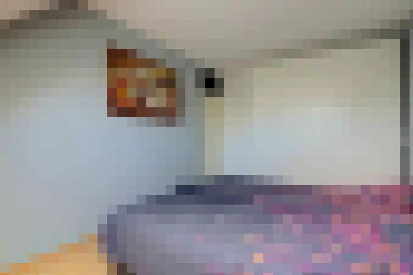 Lisdreef 31 Papendrecht thumbnail 20