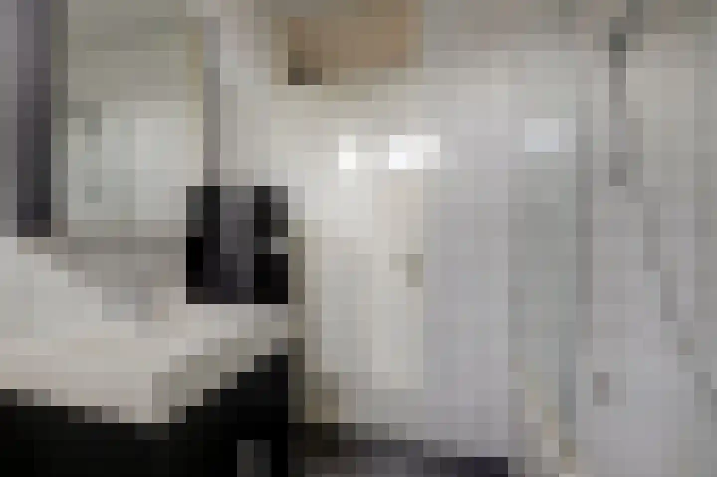 Lisdreef 31 Papendrecht thumbnail 25
