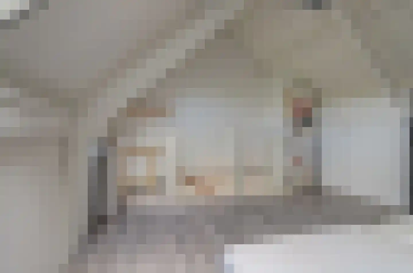 Lisdreef 31 Papendrecht thumbnail 28