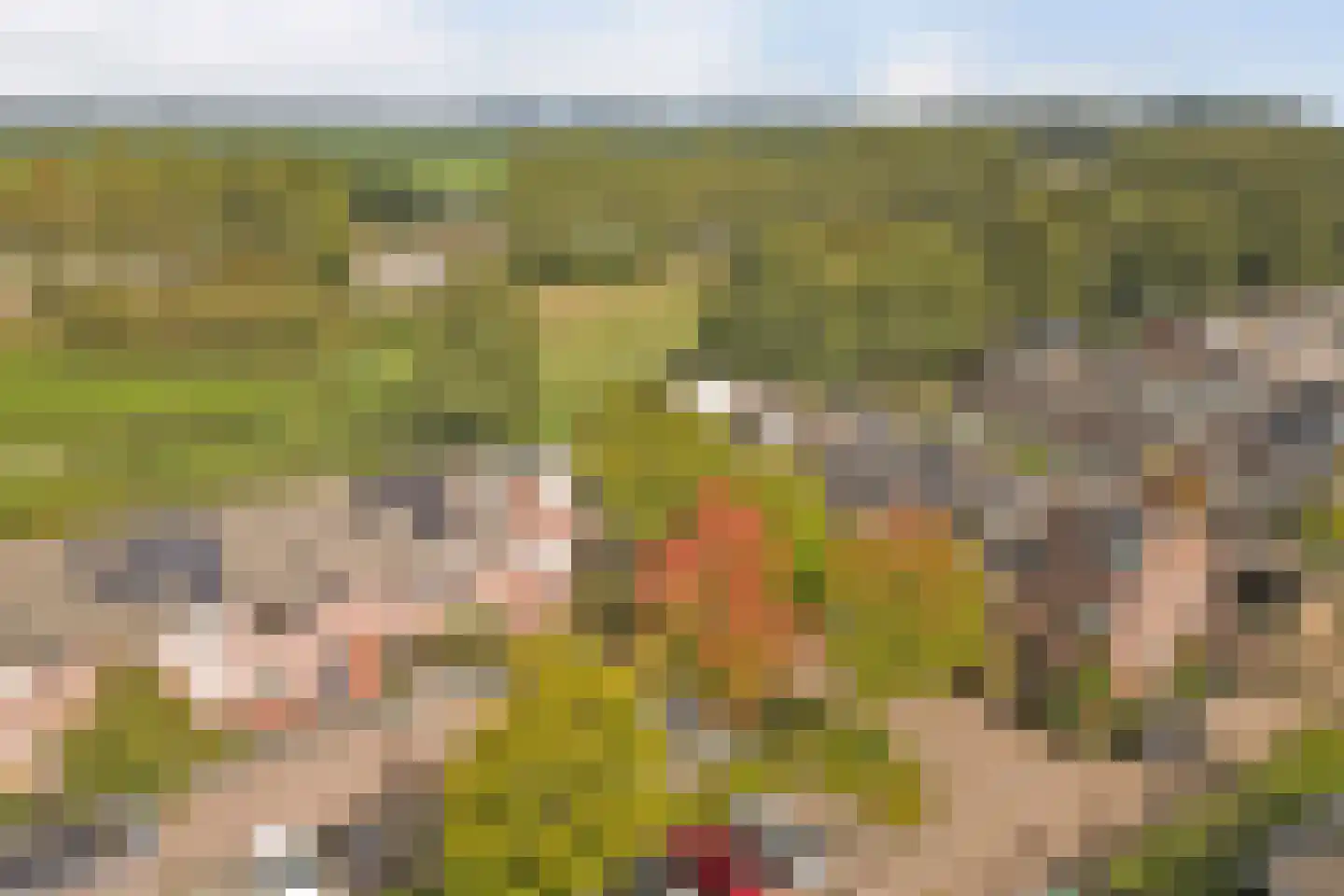 Lisdreef 31 Papendrecht thumbnail 32