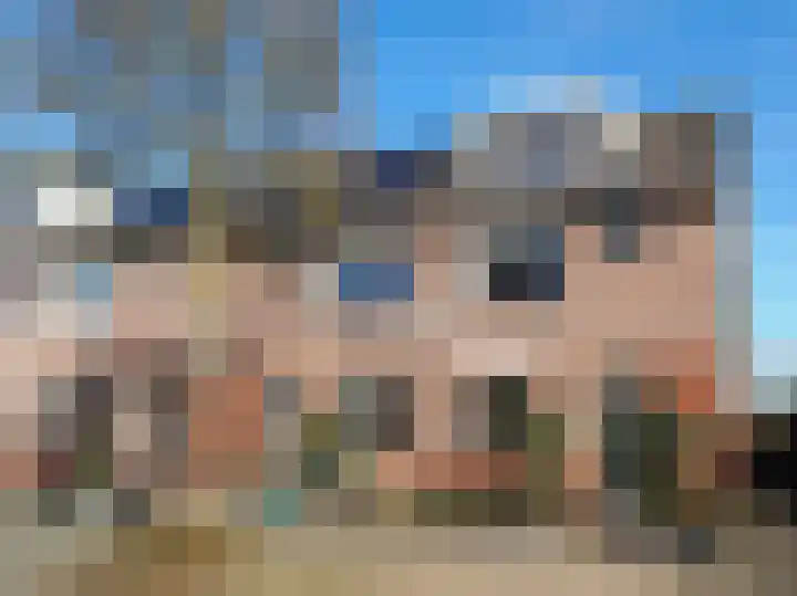 Lisdreef 43 dans Papendrecht