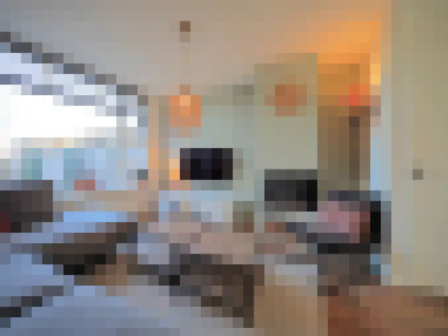 Lisdreef 43 Papendrecht thumbnail 11