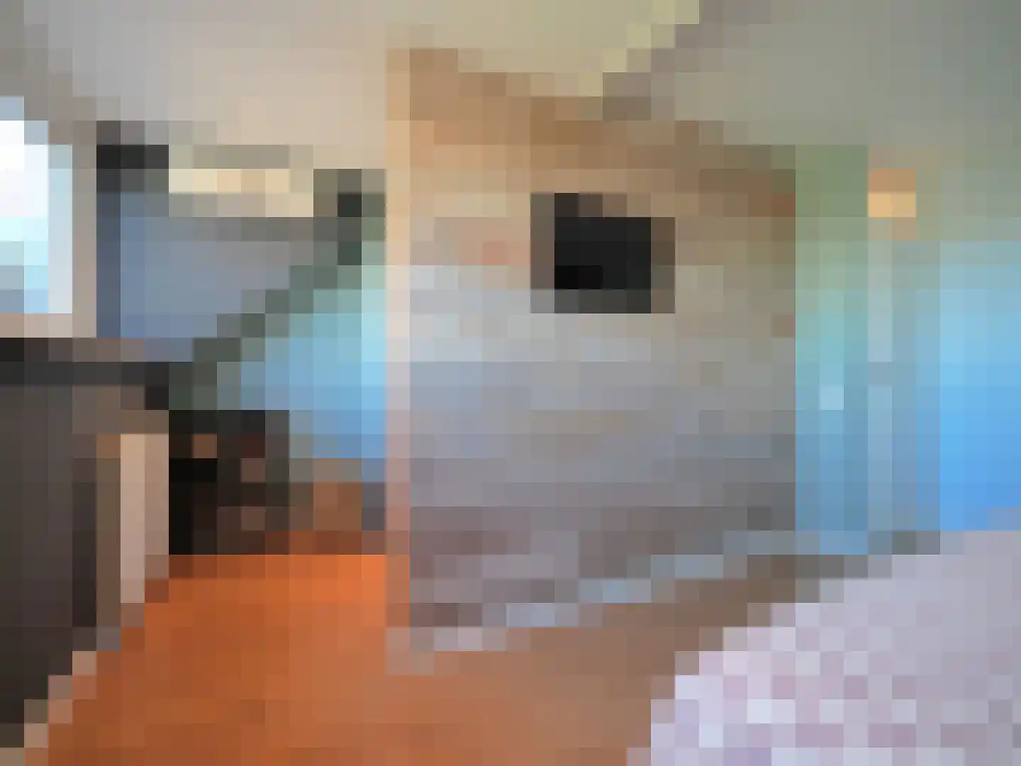 Lisdreef 43 Papendrecht thumbnail 24