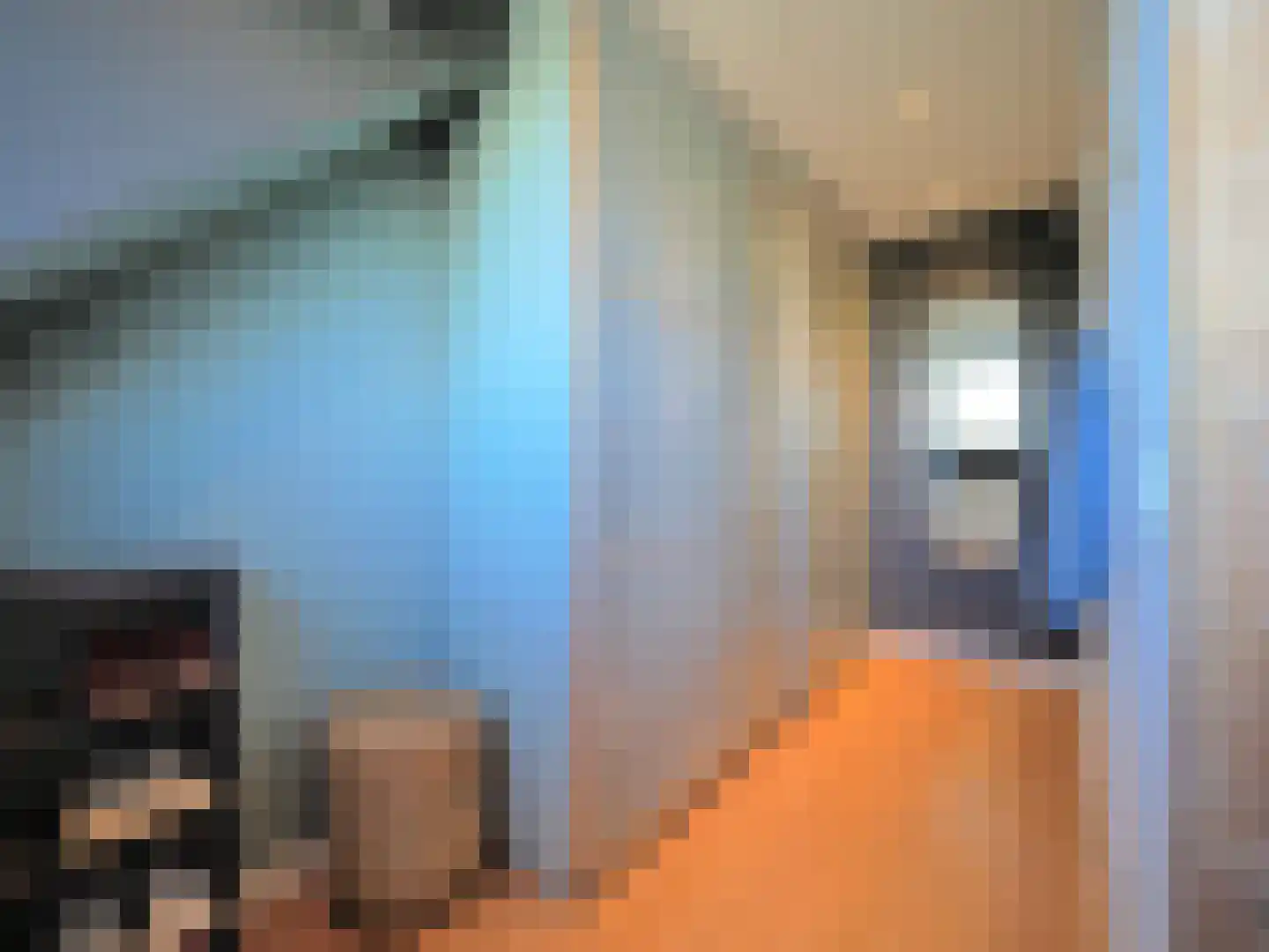Lisdreef 43 Papendrecht thumbnail 25