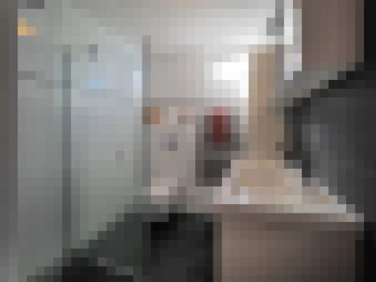 Lisdreef 43 Papendrecht thumbnail 28