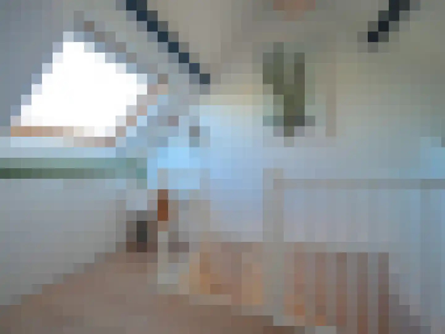 Lisdreef 43 Papendrecht thumbnail 32