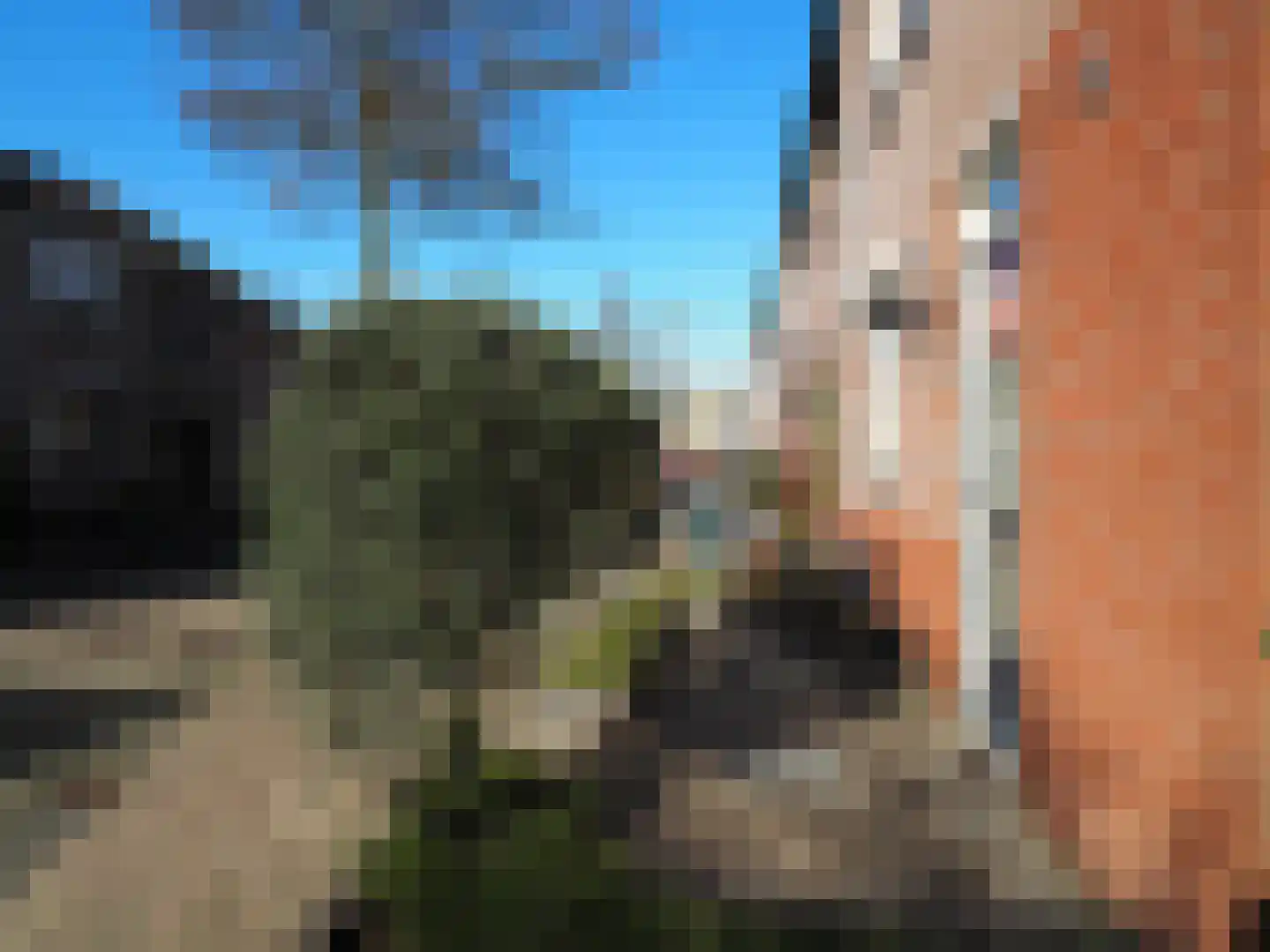 Lisdreef 43 Papendrecht thumbnail 4