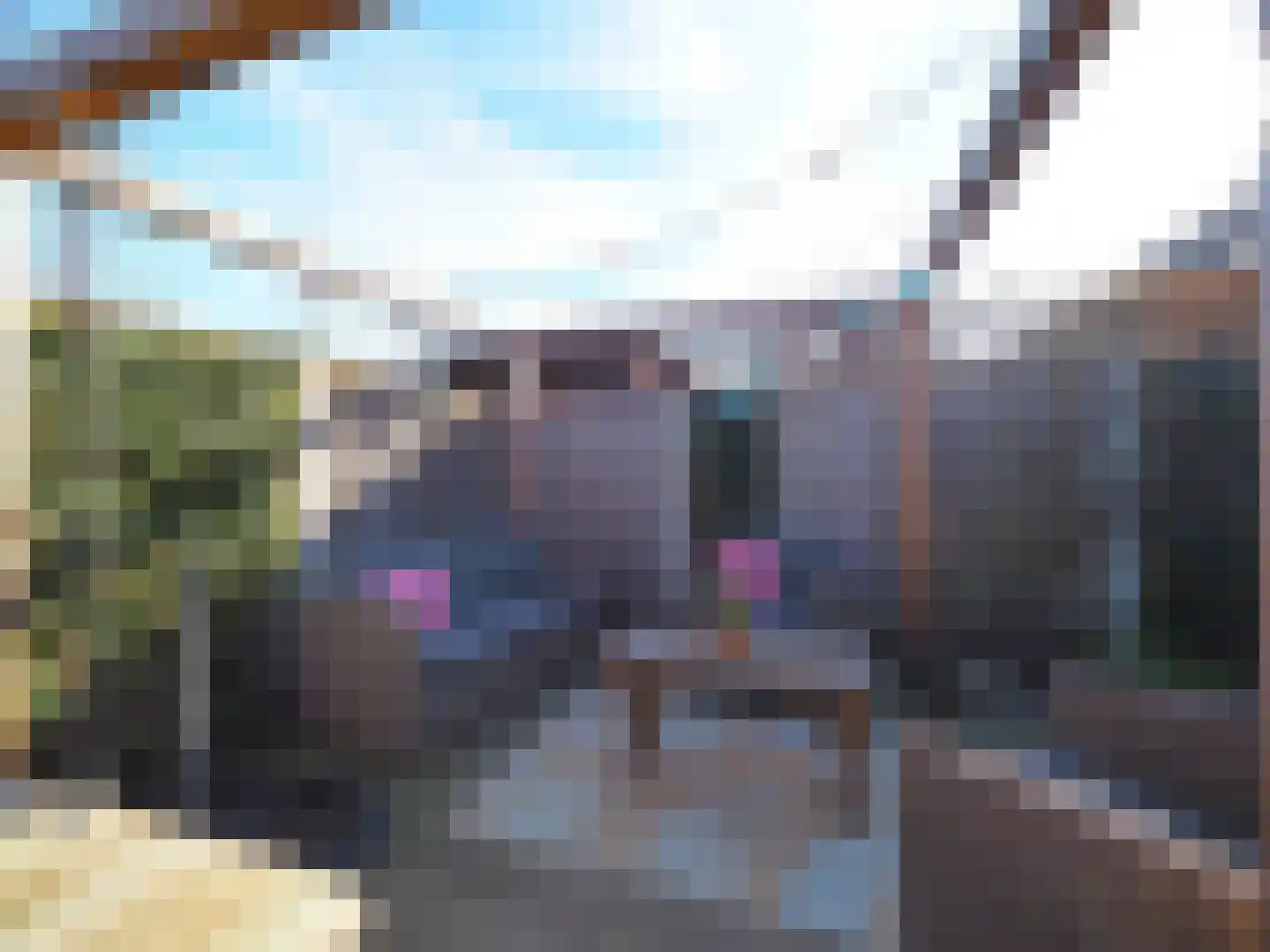 Lisdreef 43 Papendrecht thumbnail 43