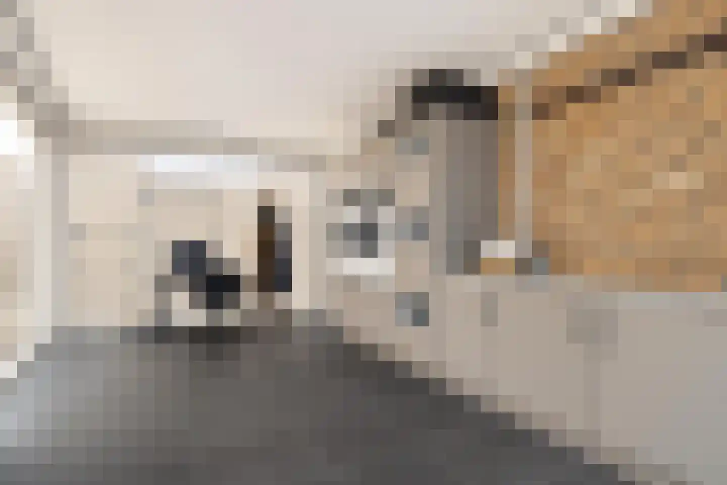 Liselott Linsenhoffstraat 29 Almere thumbnail 35