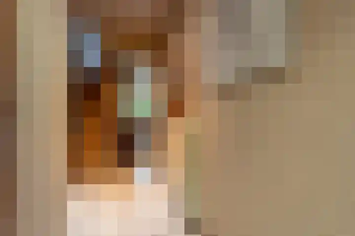 Lisgors 30 Mijnsheerenland thumbnail 10