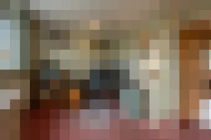 Lisgors 30 Mijnsheerenland thumbnail 13