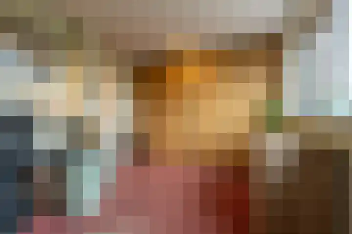 Lisgors 30 Mijnsheerenland thumbnail 14