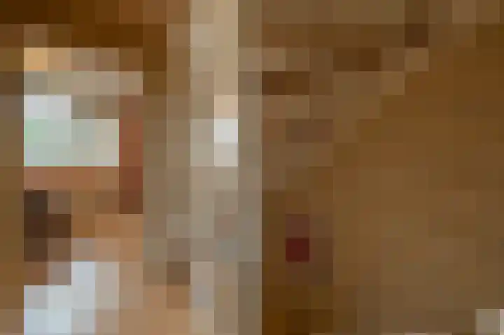 Lisgors 30 Mijnsheerenland thumbnail 17