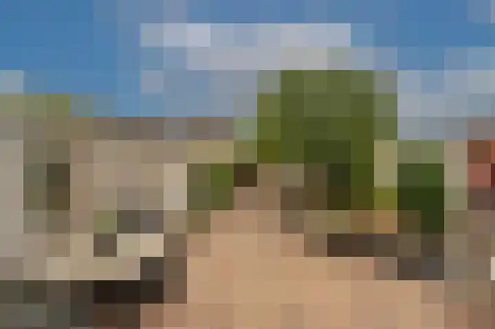 Lisgors 30 Mijnsheerenland thumbnail 21