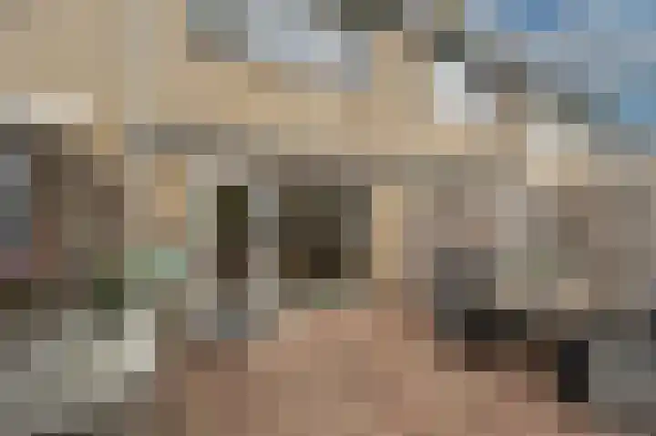 Lisgors 30 Mijnsheerenland thumbnail 22