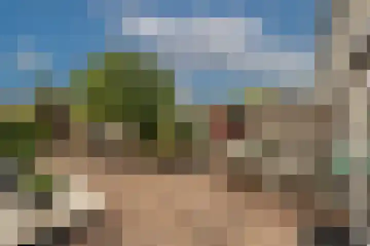 Lisgors 30 Mijnsheerenland thumbnail 23