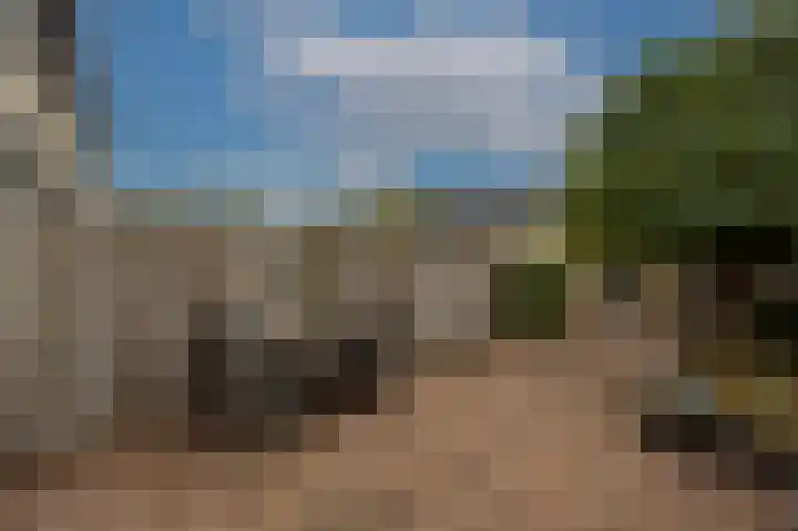 Lisgors 30 Mijnsheerenland thumbnail 24