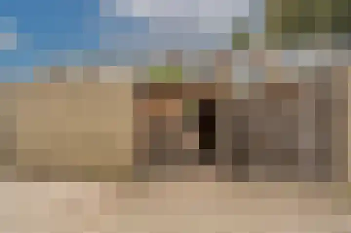 Lisgors 30 Mijnsheerenland thumbnail 25