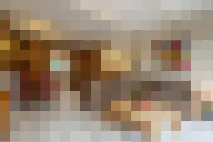 Lisgors 30 Mijnsheerenland thumbnail 5