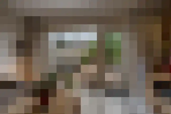 Lisgors 30 Mijnsheerenland thumbnail 6