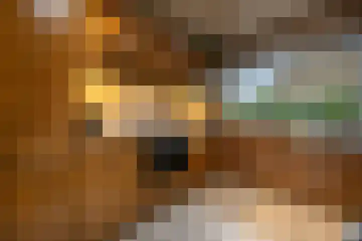 Lisgors 30 Mijnsheerenland thumbnail 8
