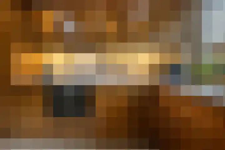 Lisgors 30 Mijnsheerenland thumbnail 9
