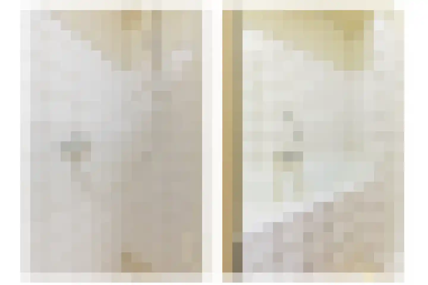 Lisgors 31 Mijnsheerenland thumbnail 13
