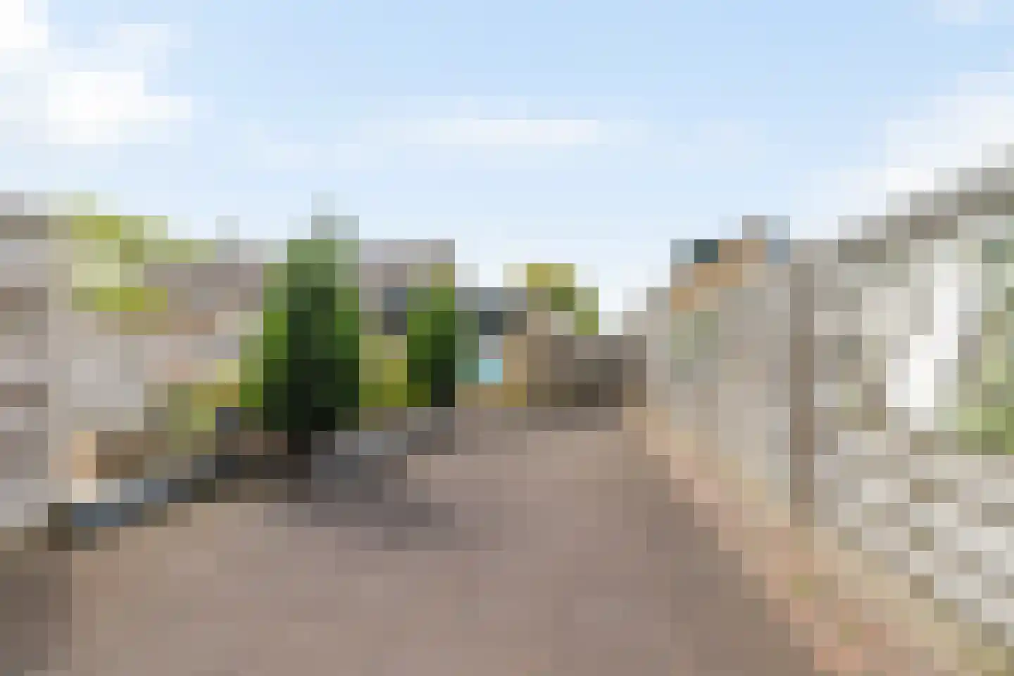 Lisgors 31 Mijnsheerenland thumbnail 19