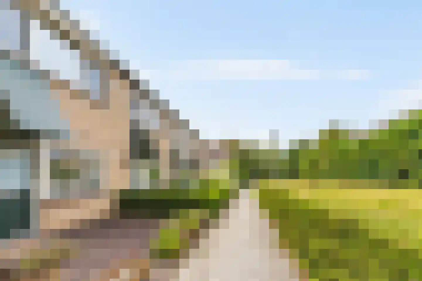 Lisgors 31 Mijnsheerenland thumbnail 21