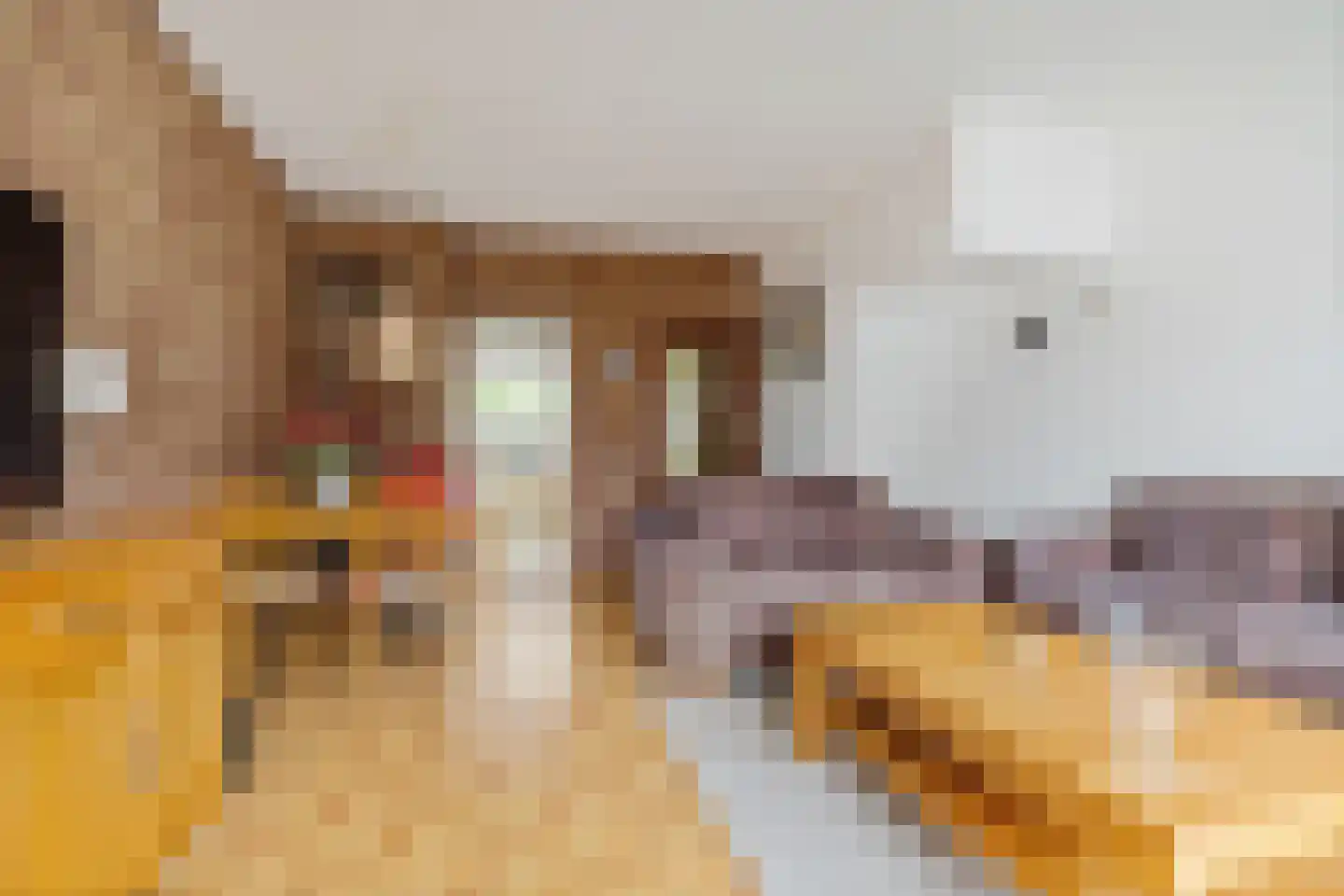 Lisgors 31 Mijnsheerenland thumbnail 4