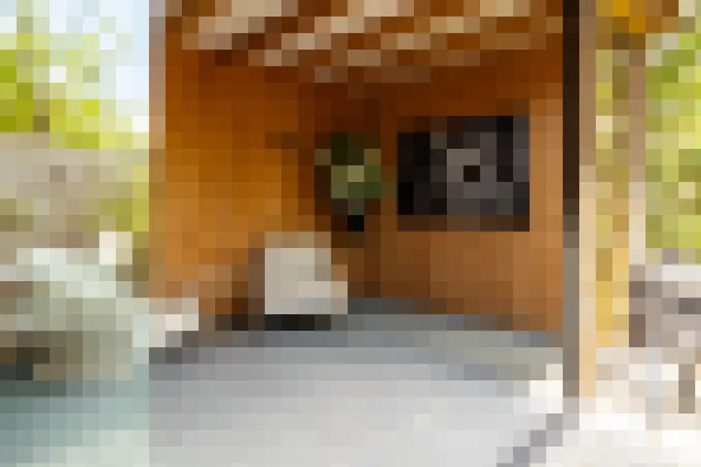 Lisidunalaan 139 Leusden thumbnail 11
