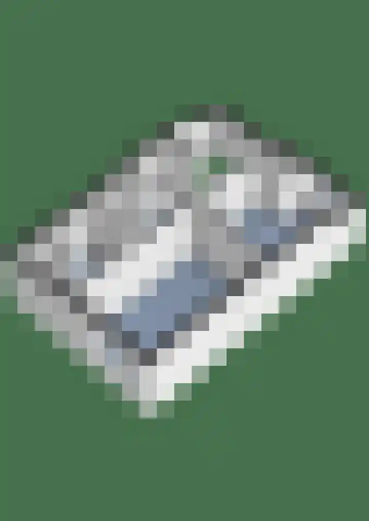 Lisidunalaan 14 Leusden thumbnail 40