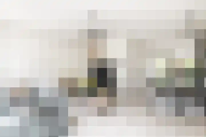 Lisidunalaan 14 Leusden thumbnail 9