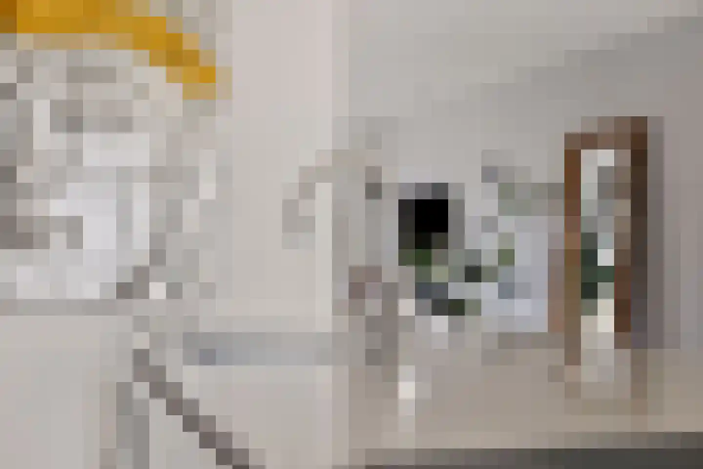 Lisidunalaan 38 Leusden thumbnail 10
