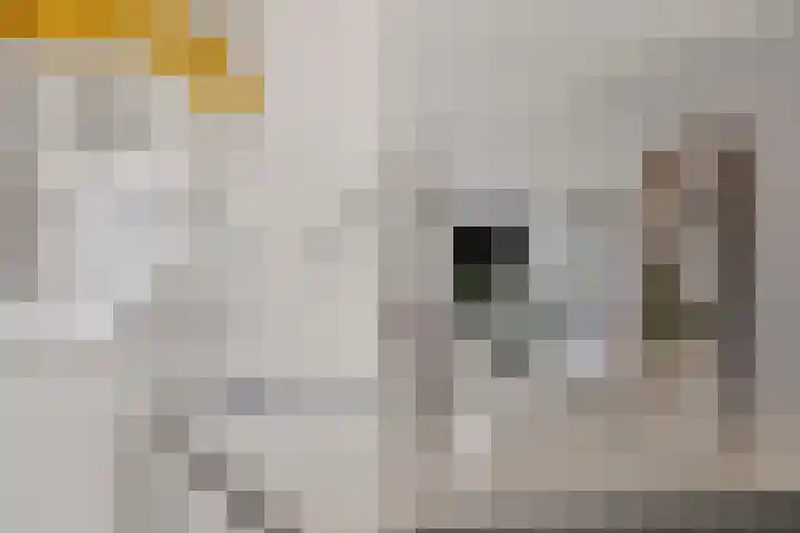 Lisidunalaan 38 Leusden thumbnail 10