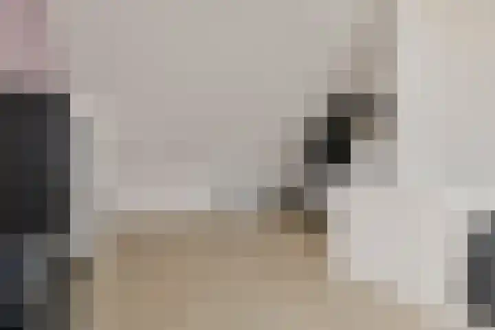 Lisidunalaan 38 Leusden thumbnail 31