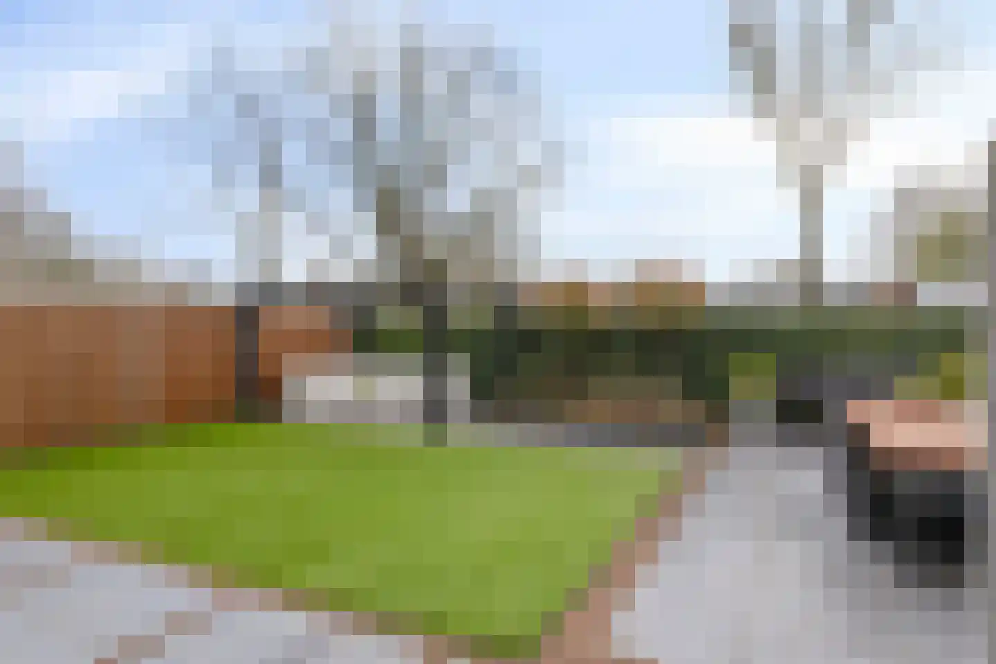 Lisidunalaan 38 Leusden thumbnail 38