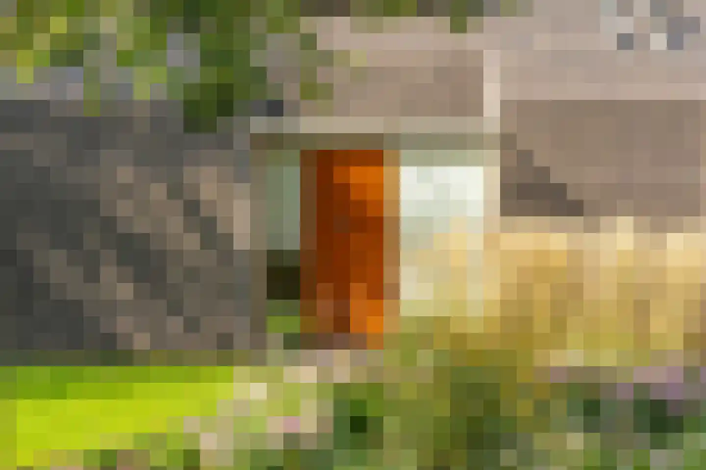 Liskesweg 2 A Nederweert thumbnail 12