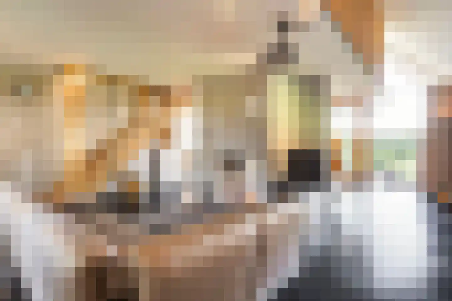 Liskesweg 2 A Nederweert thumbnail 13