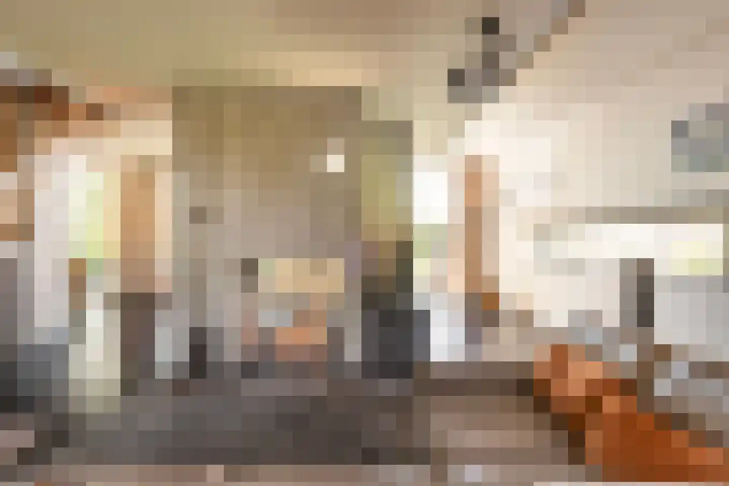 Liskesweg 2 A Nederweert thumbnail 16