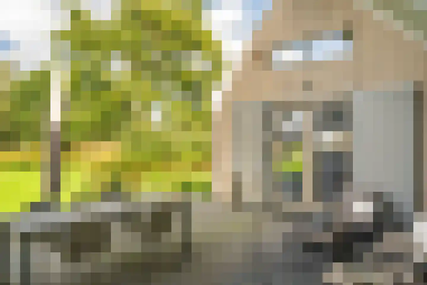 Liskesweg 2 A Nederweert thumbnail 33